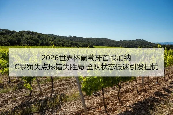 shi-jie-bei-pu-tao-ya-shou-zhan-jia-na-luo-fa-shi-dian-qiu-cuo-shi-sheng-ju-quan-dui-zhuang-tai-di-mi-yin-fa-dan-you-2-120.jpg